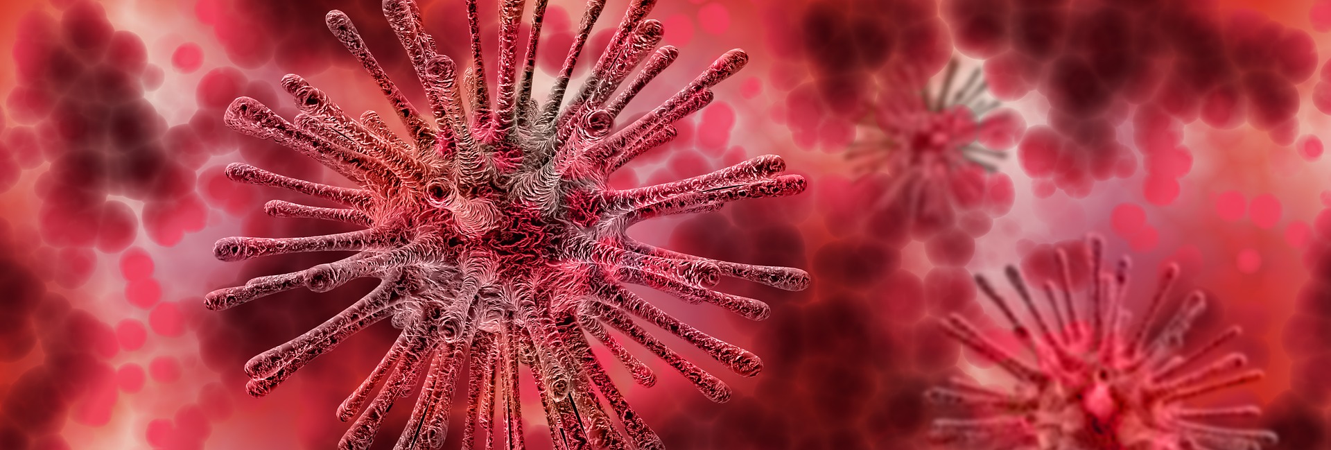 virus-4051654_1920